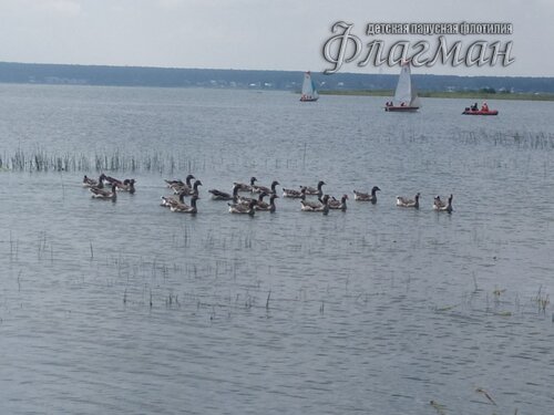 IMG_20240807_140443